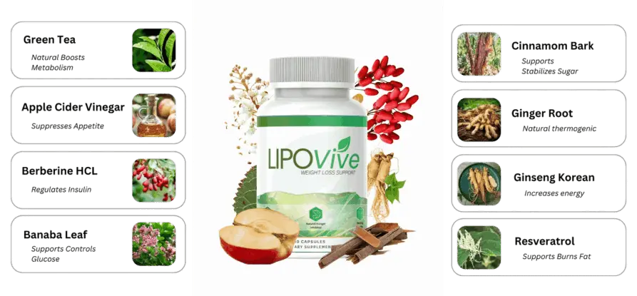 lipovive ingredients